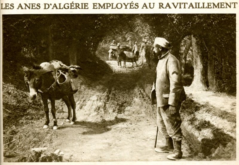Le Miroir n°151 du 15 octobre 1916 (cote 130 J 21/1)