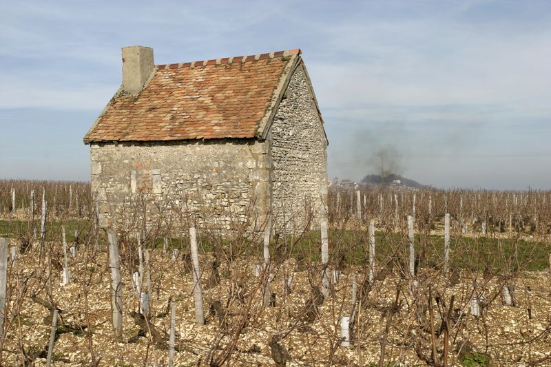 Sancerre, cabane de vigneron