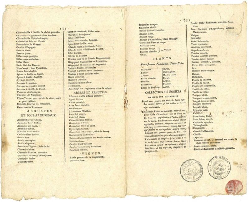 1819 : Au catalogue du pépiniériste...