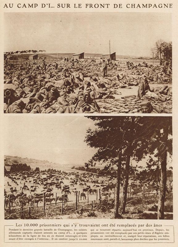 Des hôtes plus dociles