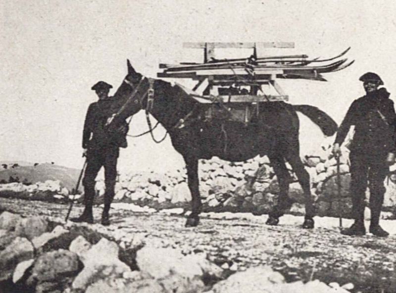 Mulet porteur de skis