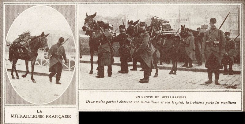 Mules portant des mitrailleuses
