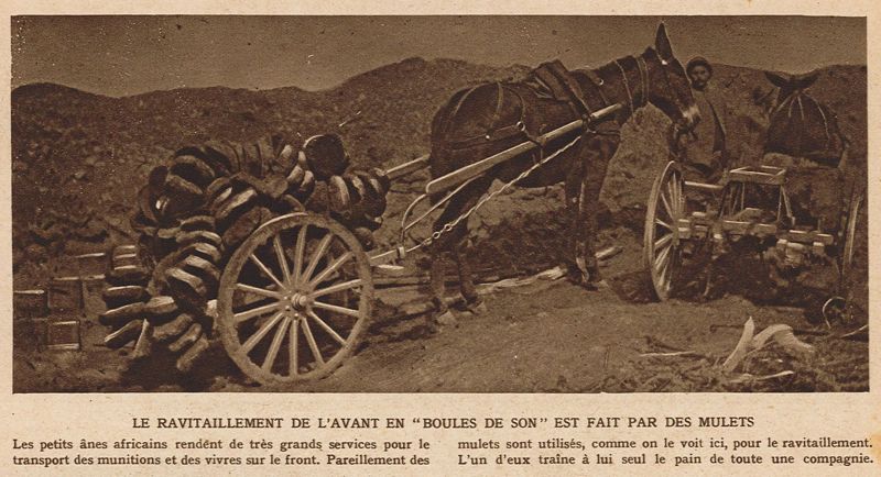 Le ravitaillement de l'avant en "boules de son" est fait par des mulets
