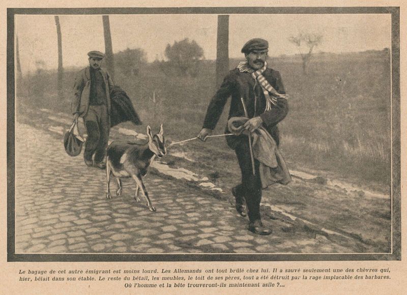 La chèvre et le réfugié