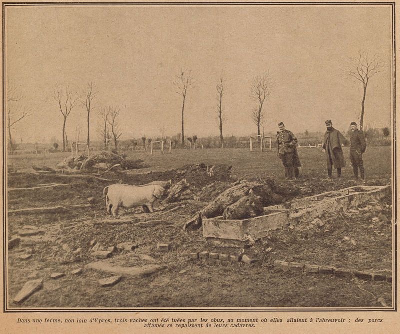 Dans une ferme non loin d'Ypres