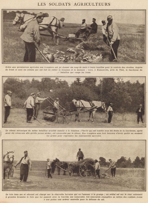 Les soldats agriculteurs