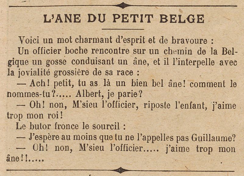 L'âne du petit belge