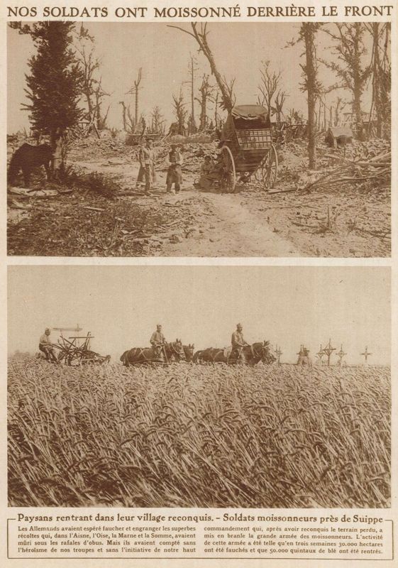 Nos soldats ont moissonné derrière le front