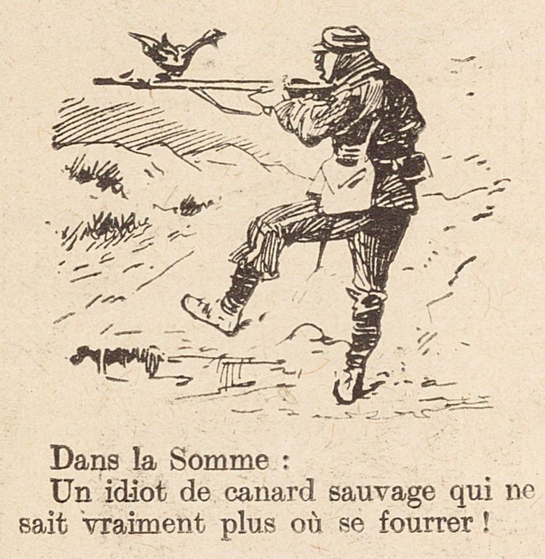 Idiot de canard