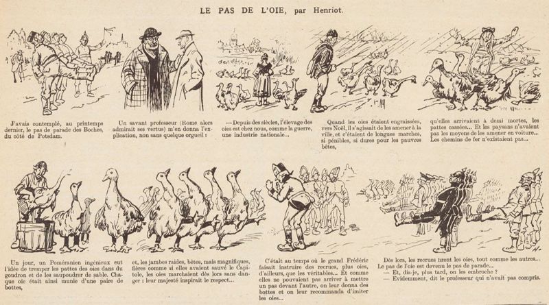 Le pas de l'oie