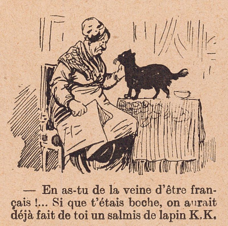 Un chat chanceux