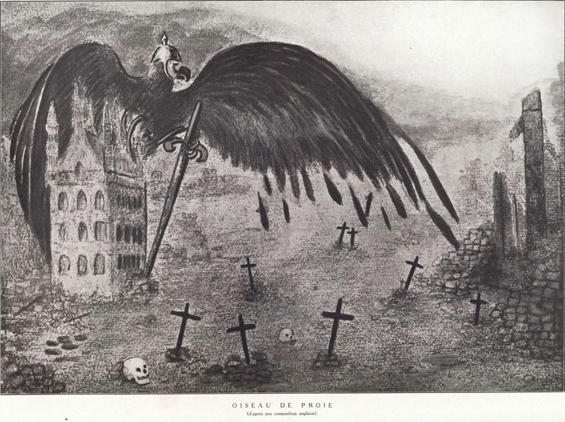 Oiseau de proie