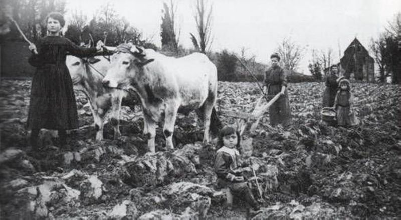 3. Blanche Millérioux, une cultivatrice de Jalognes