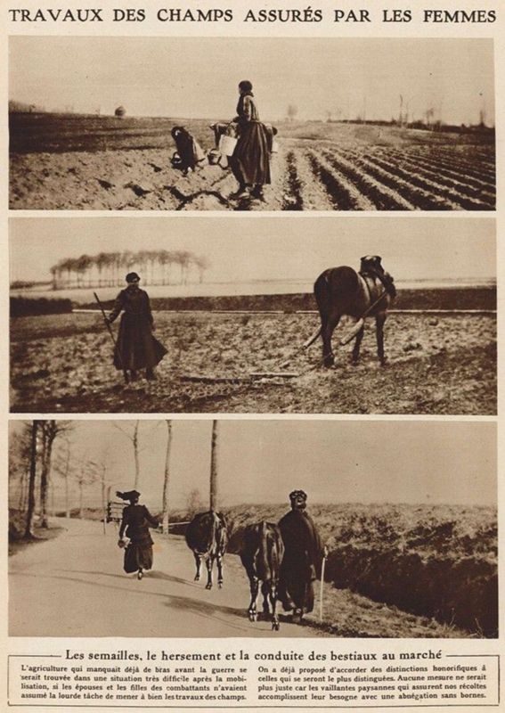 5. Blanche Millérioux, une cultivatrice de Jalognes