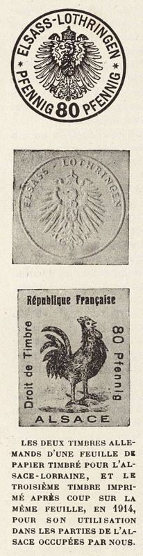 Coq timbré