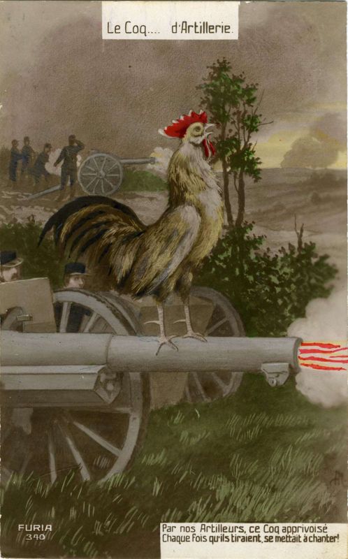 Coq artilleur