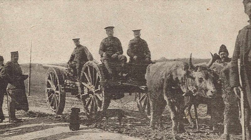 Un attelage d'artillerie britannique en Serbie