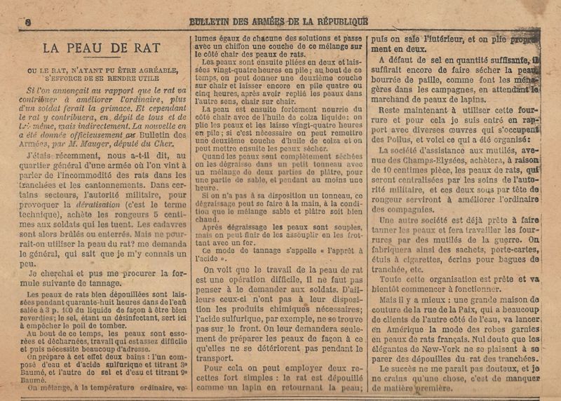 La peau de rat