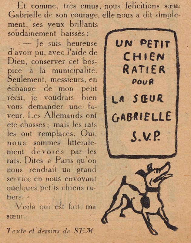 Un petit chien ratier pour soeur Gabrielle