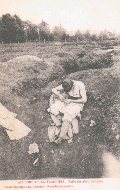 Poilu cherchant ses poux