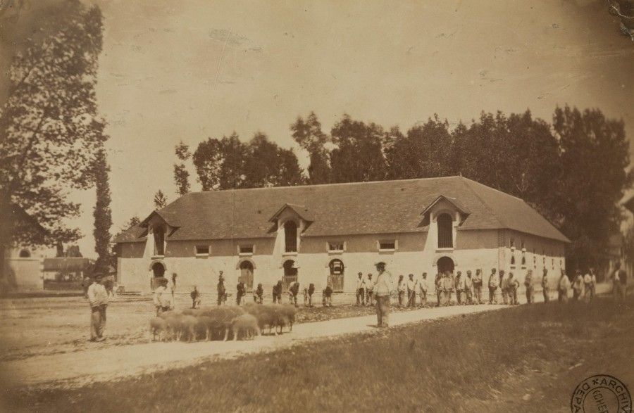 Une grande colonie agricole modèle