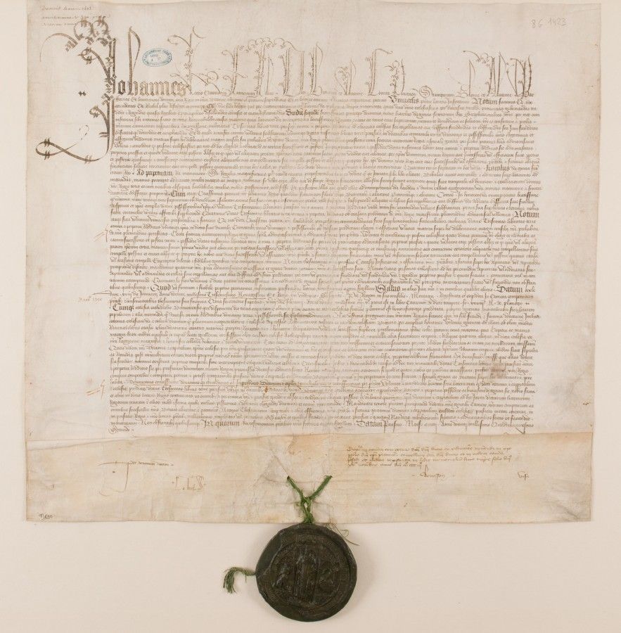 Transcription paléographique