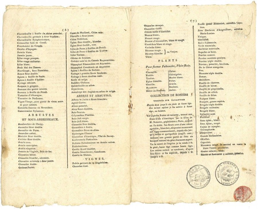 1819 : Au catalogue du pépiniériste...