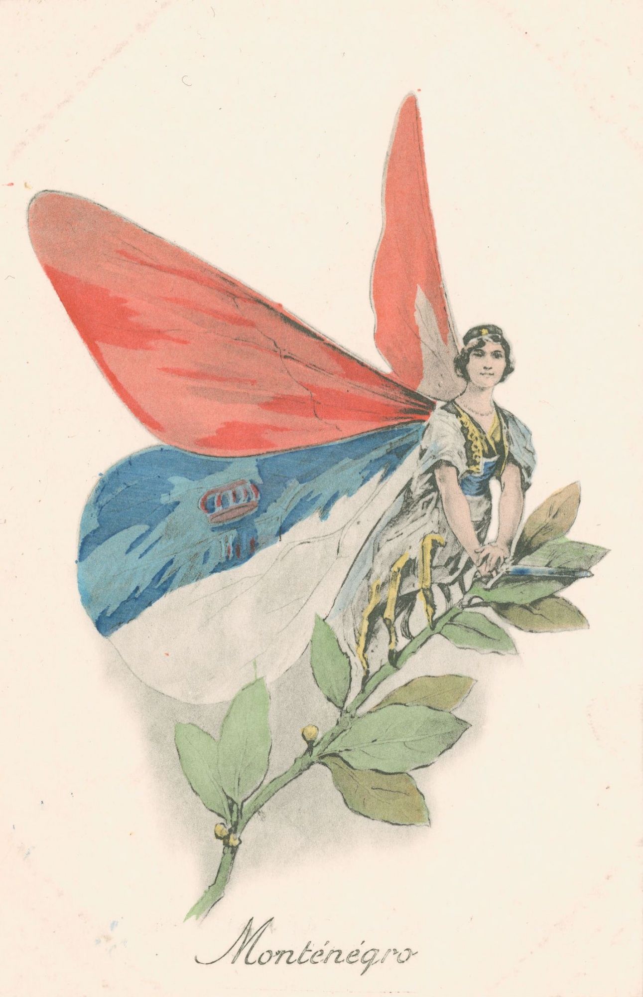 Les papillons - Monténégro (5 Num 37/75/28)