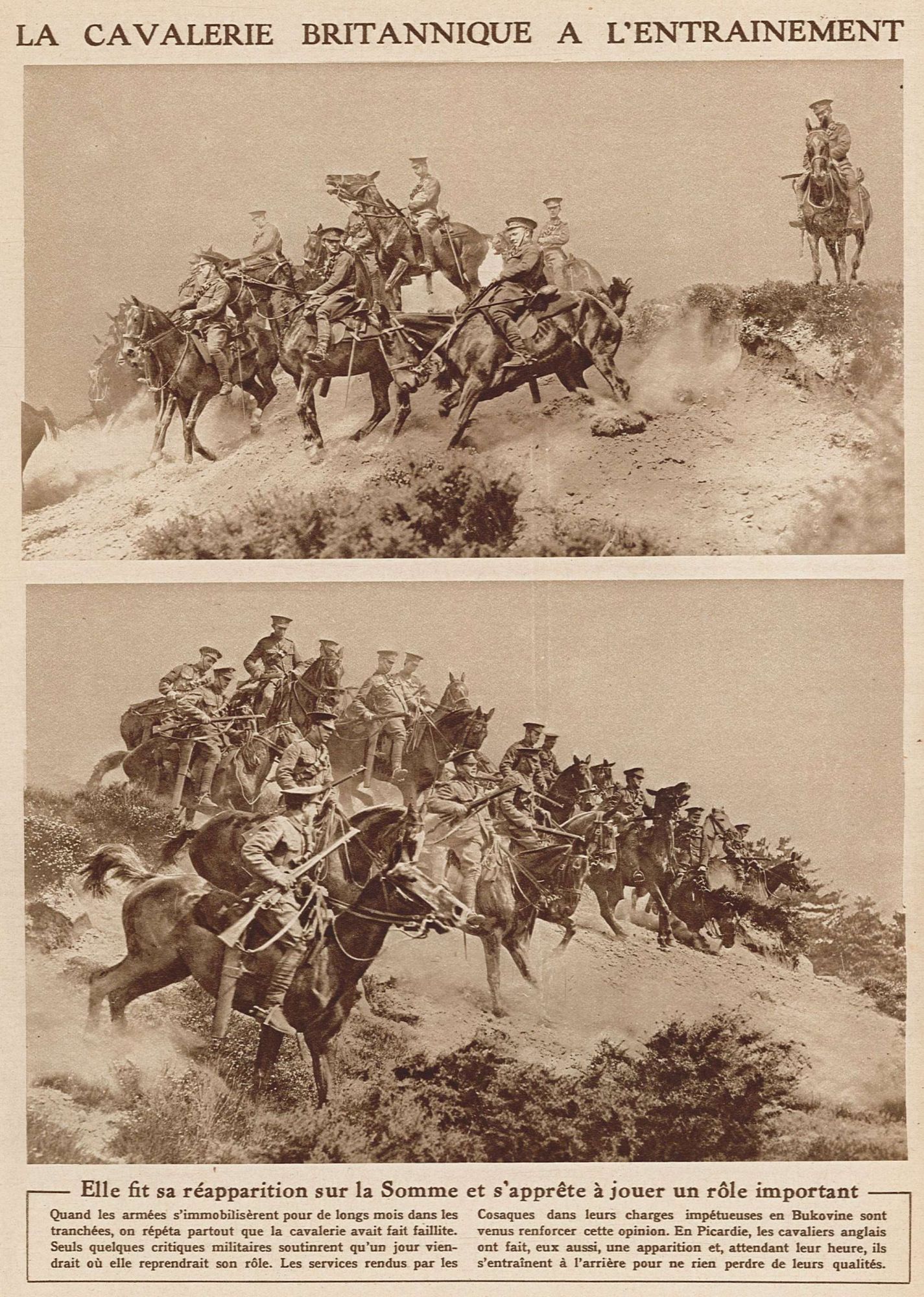 La cavalerie britannique à l'entraînement