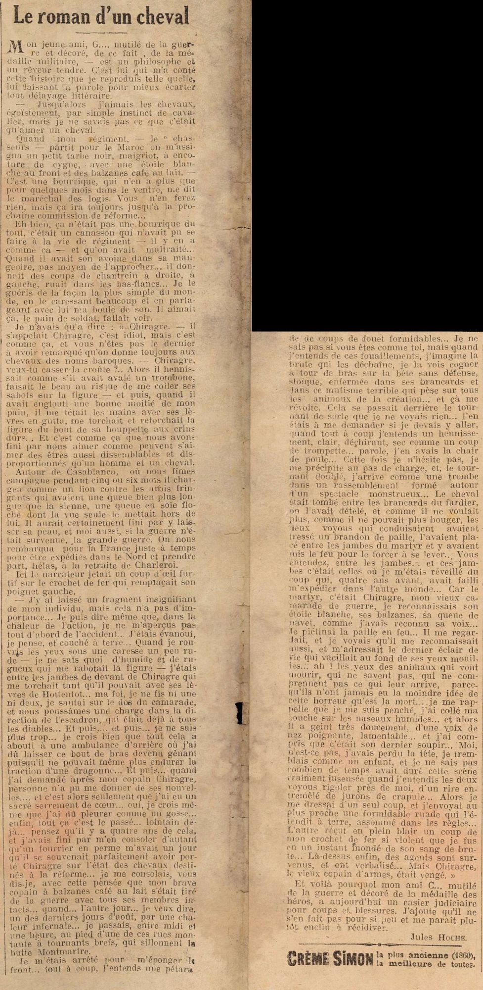 Le roman d'un cheval