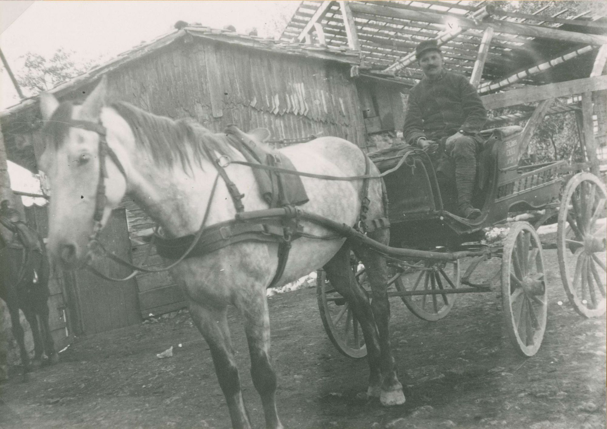 Attelage (5 Num 43/79/1)