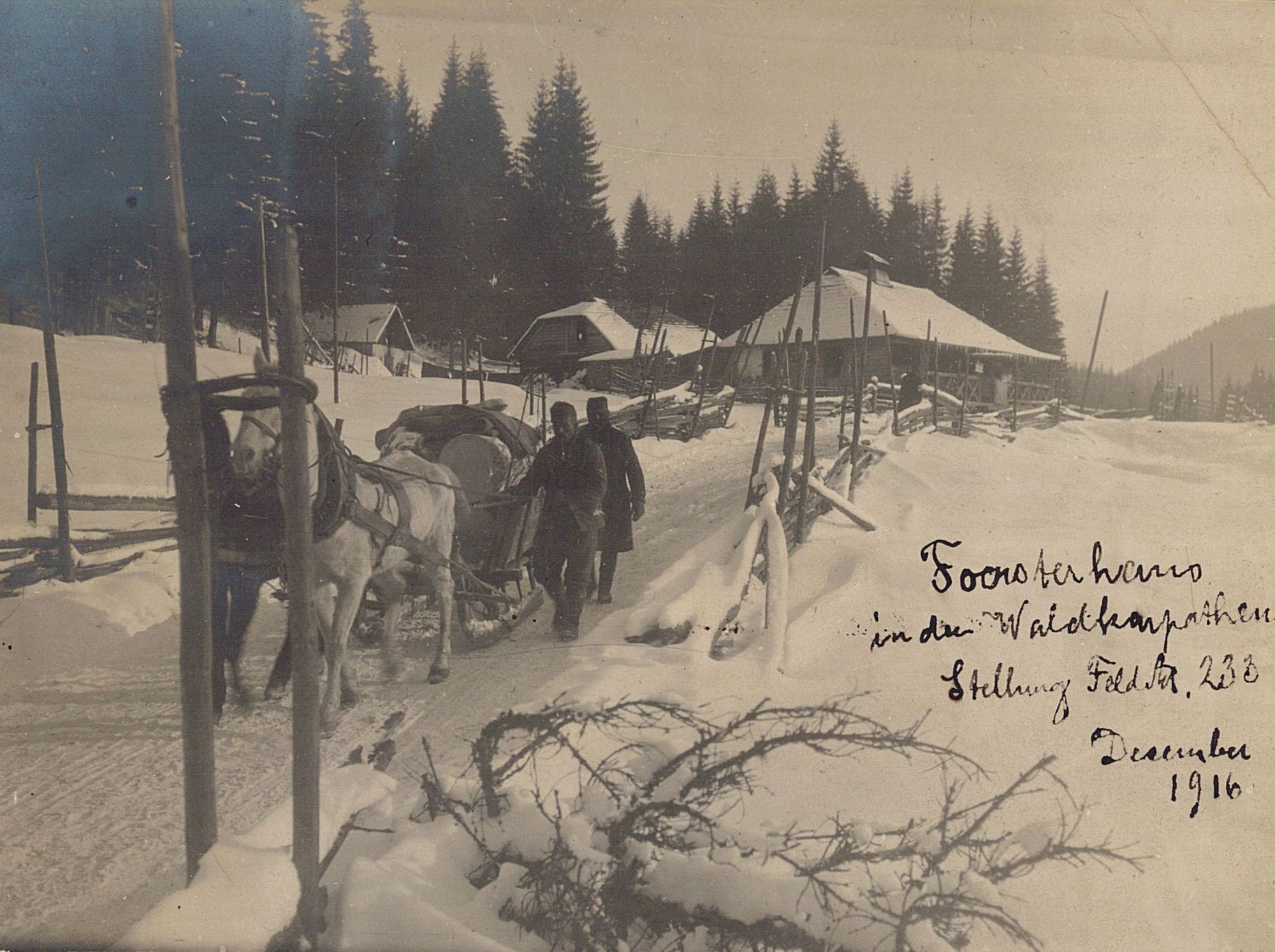 Traîneau dans la forêt des Carpates (3 Num 32/12/1)