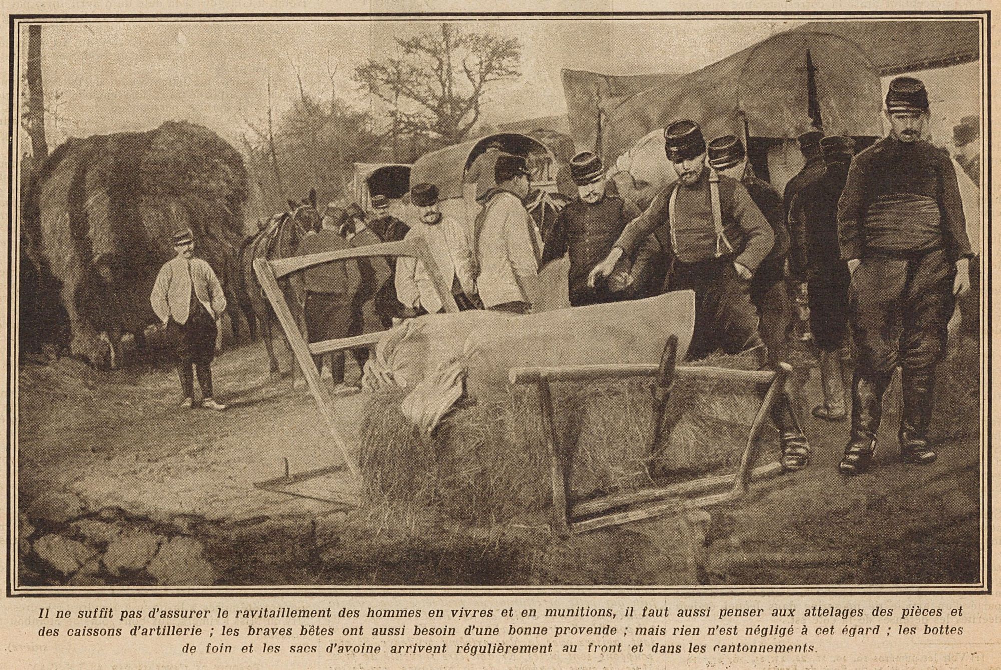 Au menu : bottes de foin et sacs d'avoine