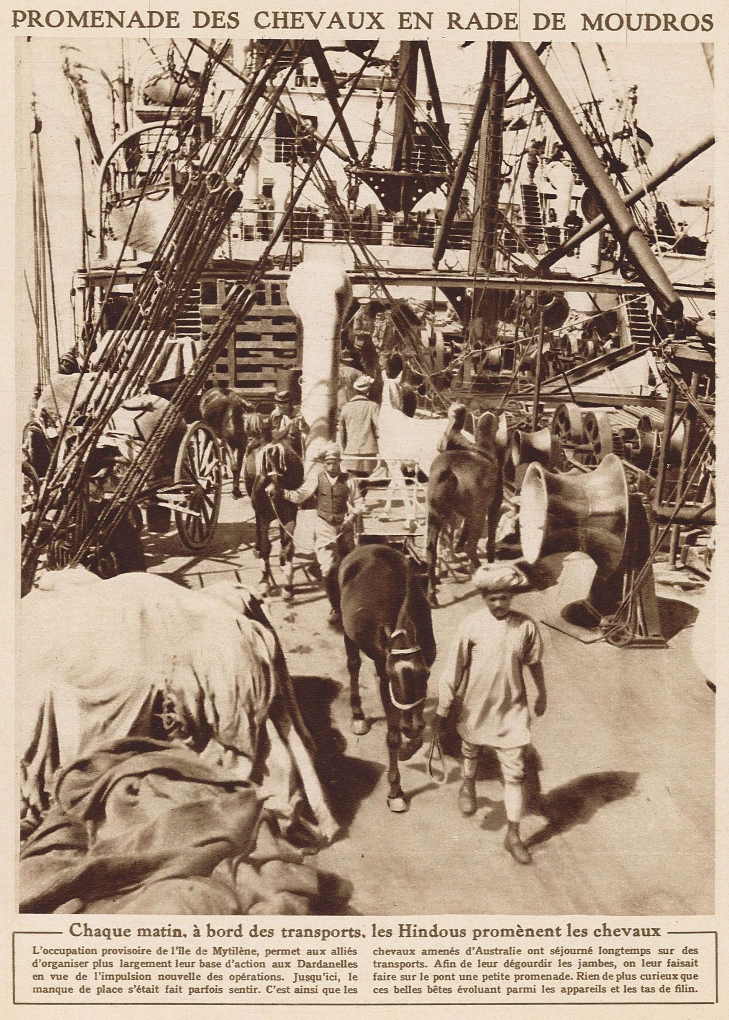 Promenade des chevaux sur le pont d'un navire