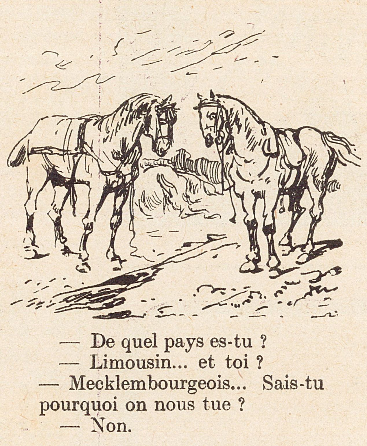 Sais-tu pourquoi on nous tue ?