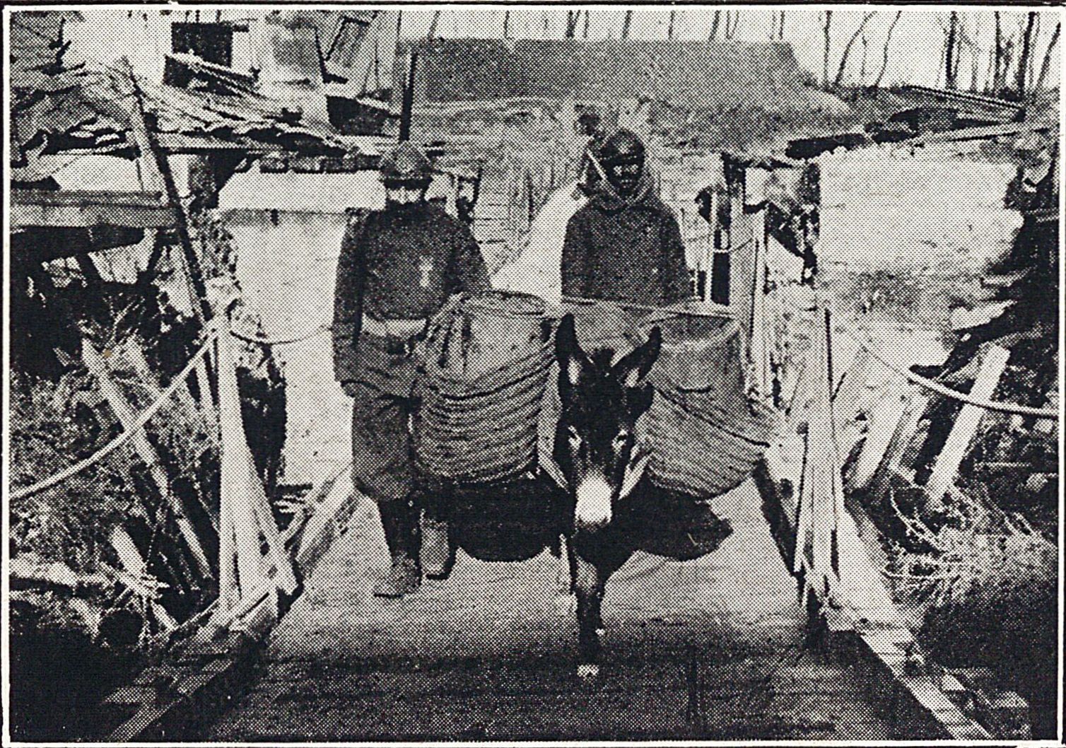 Ravitaillement des tranchées