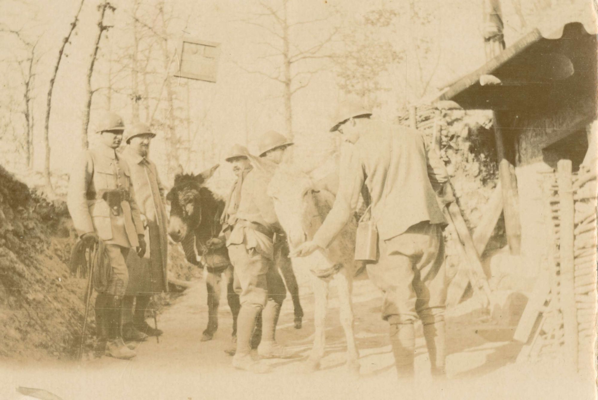 Une petite douceur (3 Num 19/6)