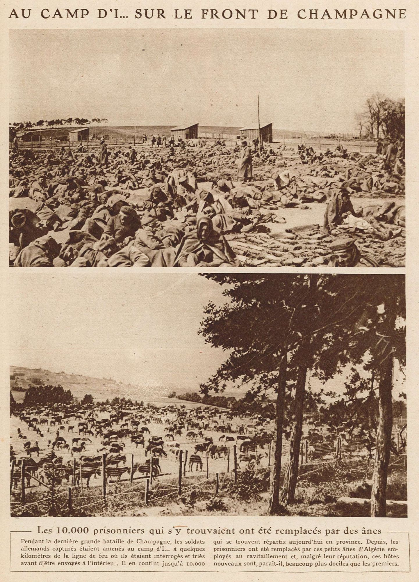 Des hôtes plus dociles