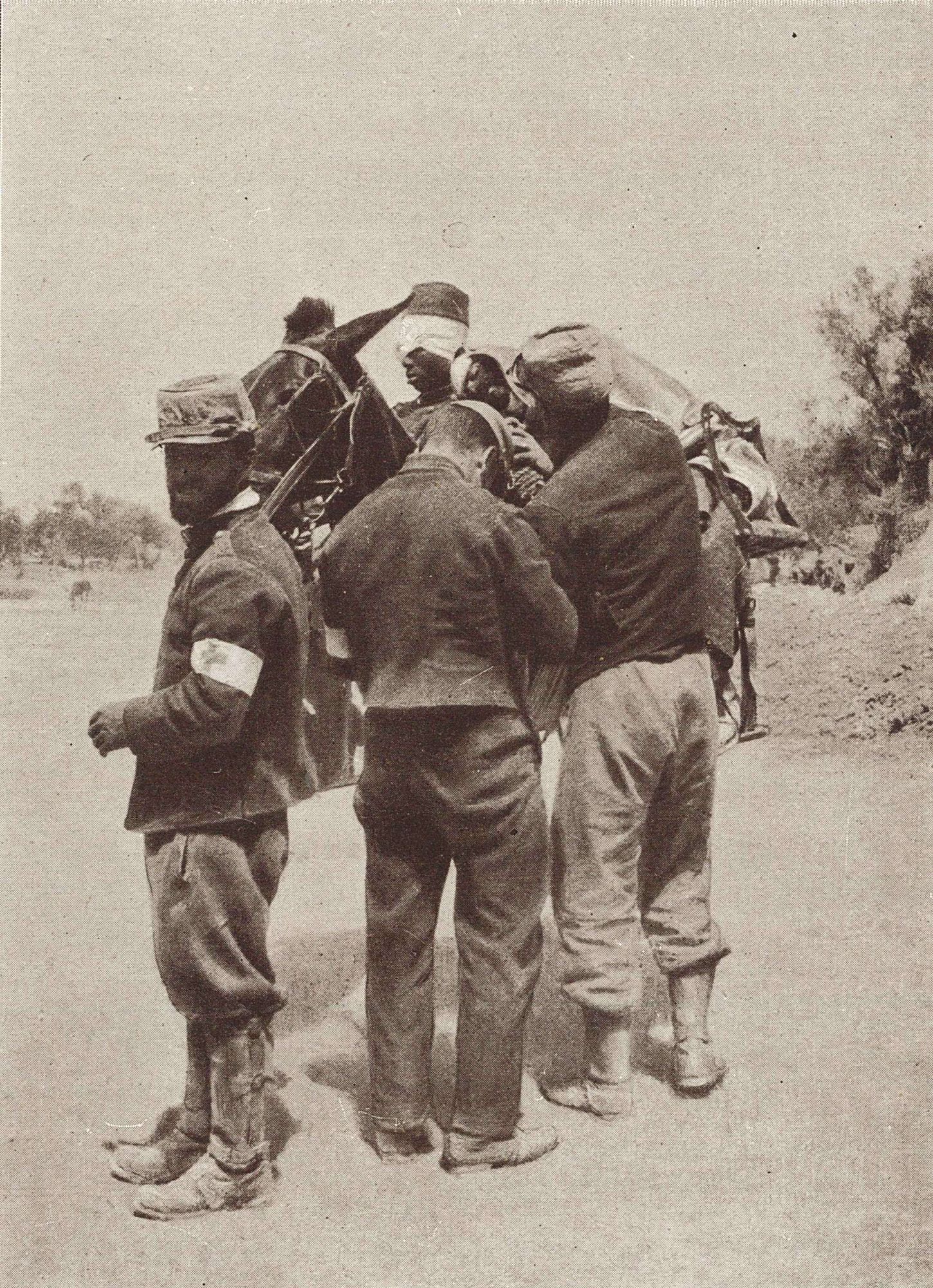 Un tirailleur blessé ramené des tranchées à l'ambulance sur un mulet
