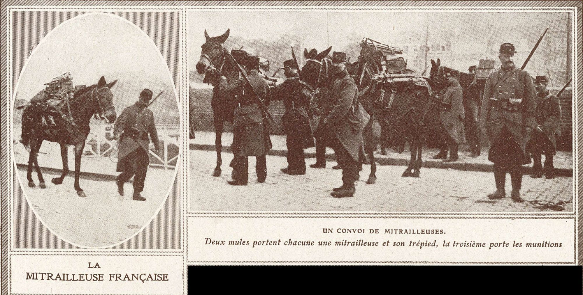 Mules portant des mitrailleuses