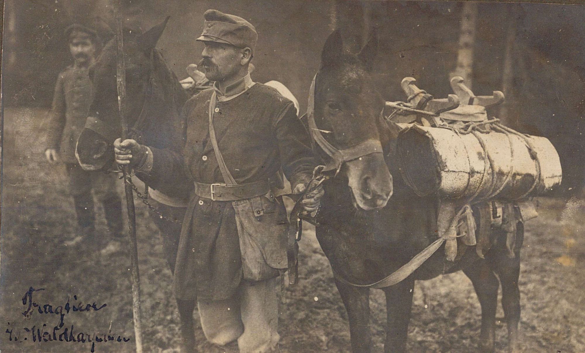Bêtes de somme dans la forêt des Carpates (3 Num 32/1/2)