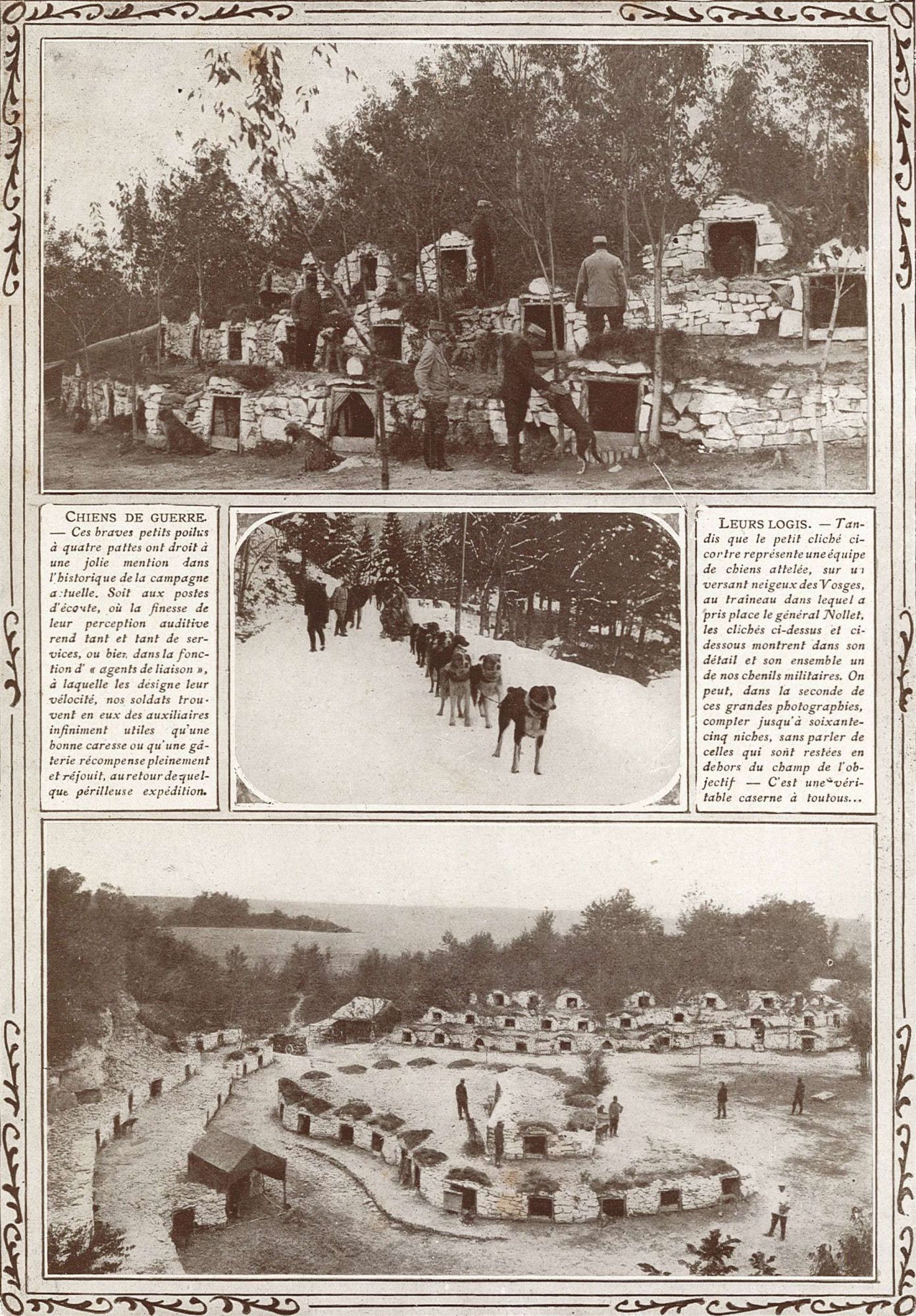 Chiens de guerre et leur logis