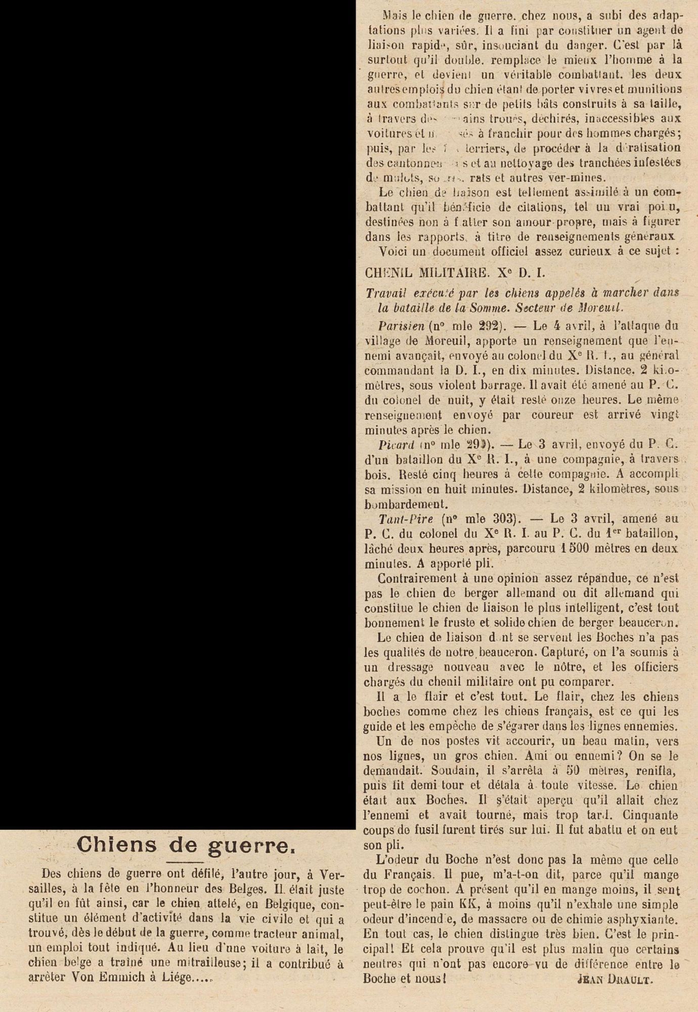 Quelques chiens de liaison exemplaires