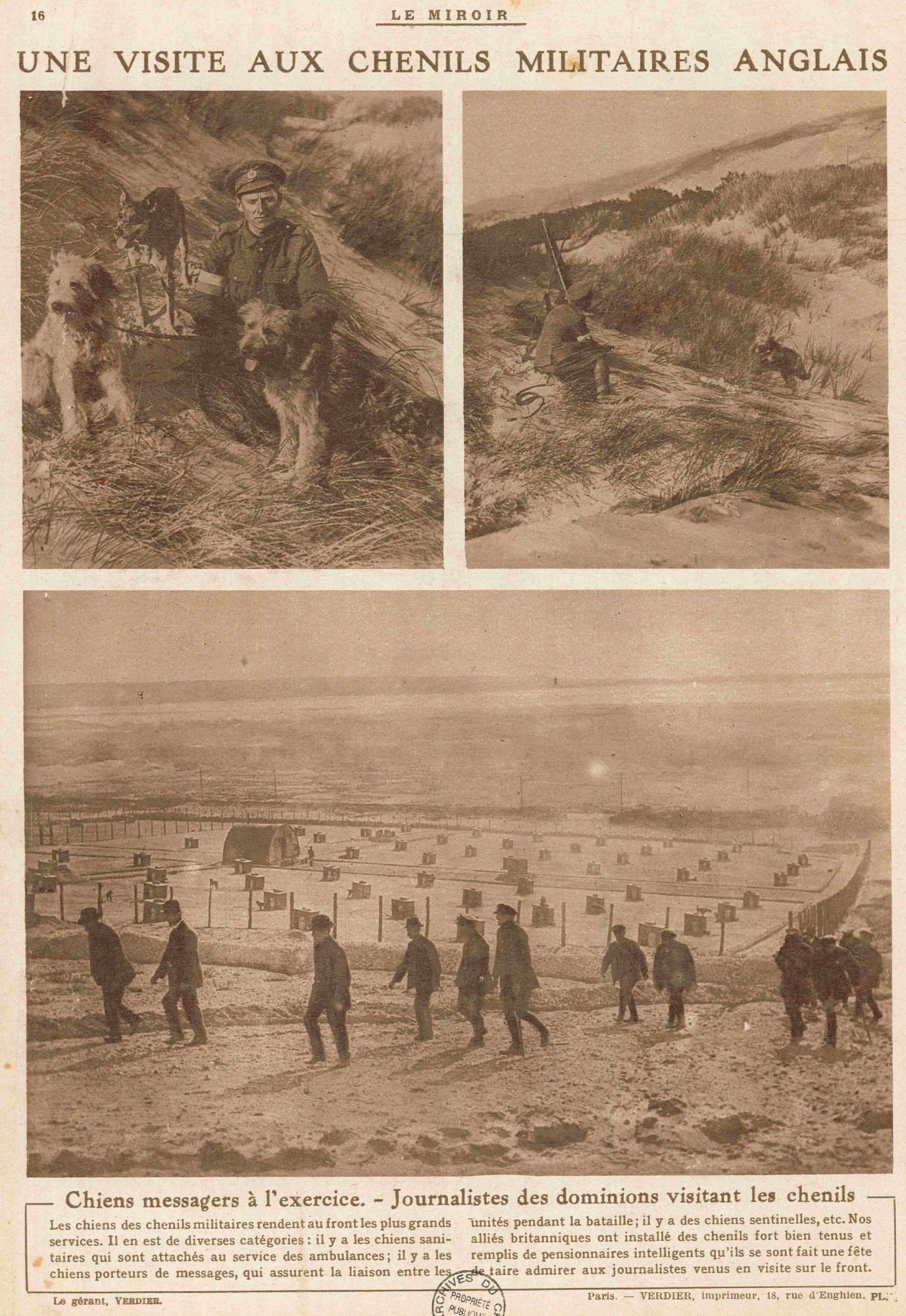 Chiens messagers à l'exercice