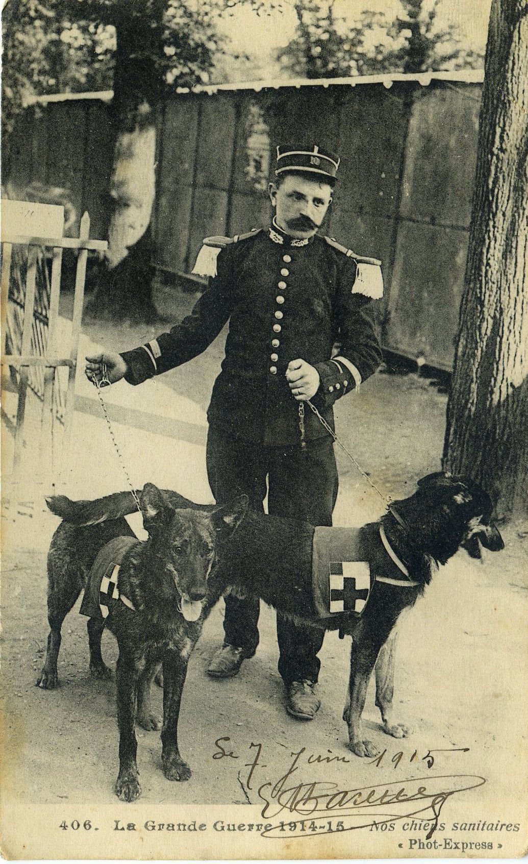 Nos chiens sanitaires