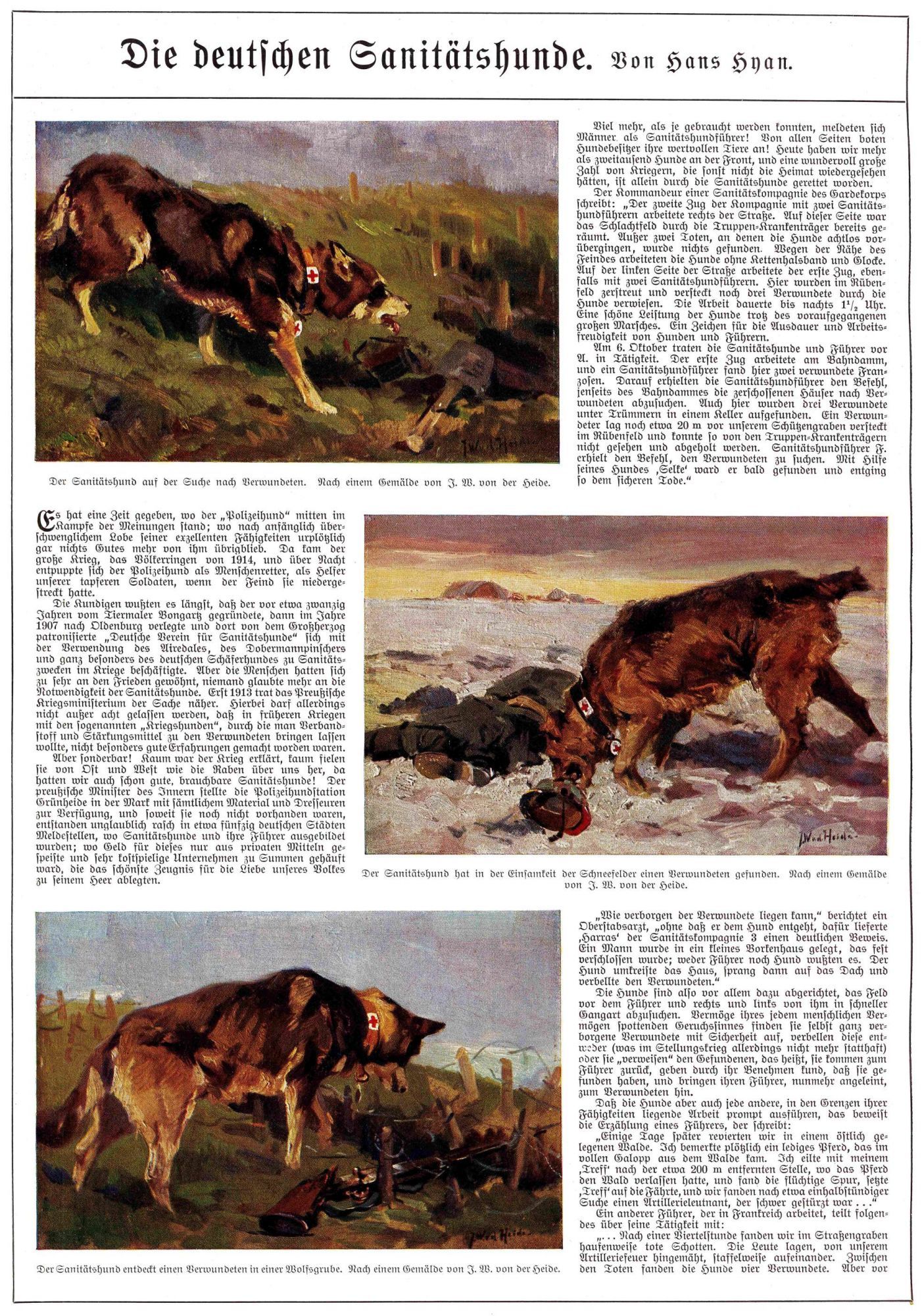 Chiens sanitaires allemands