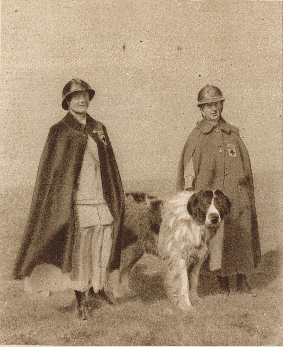 Chien sanitaire et infirmières