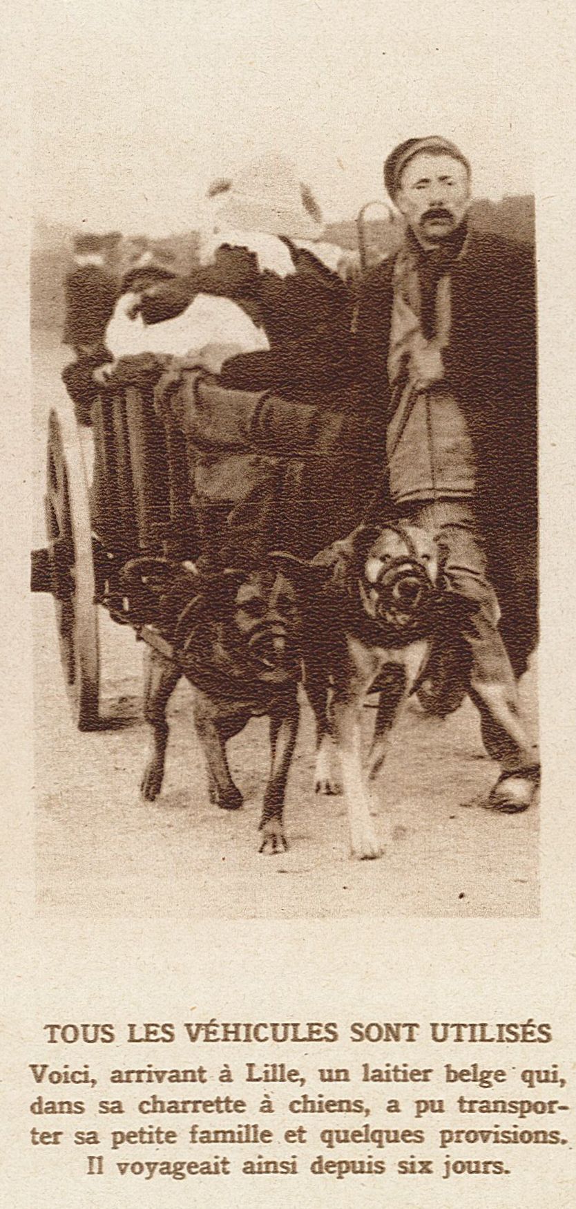 Une autre charette à chiens pour réfugiés belges