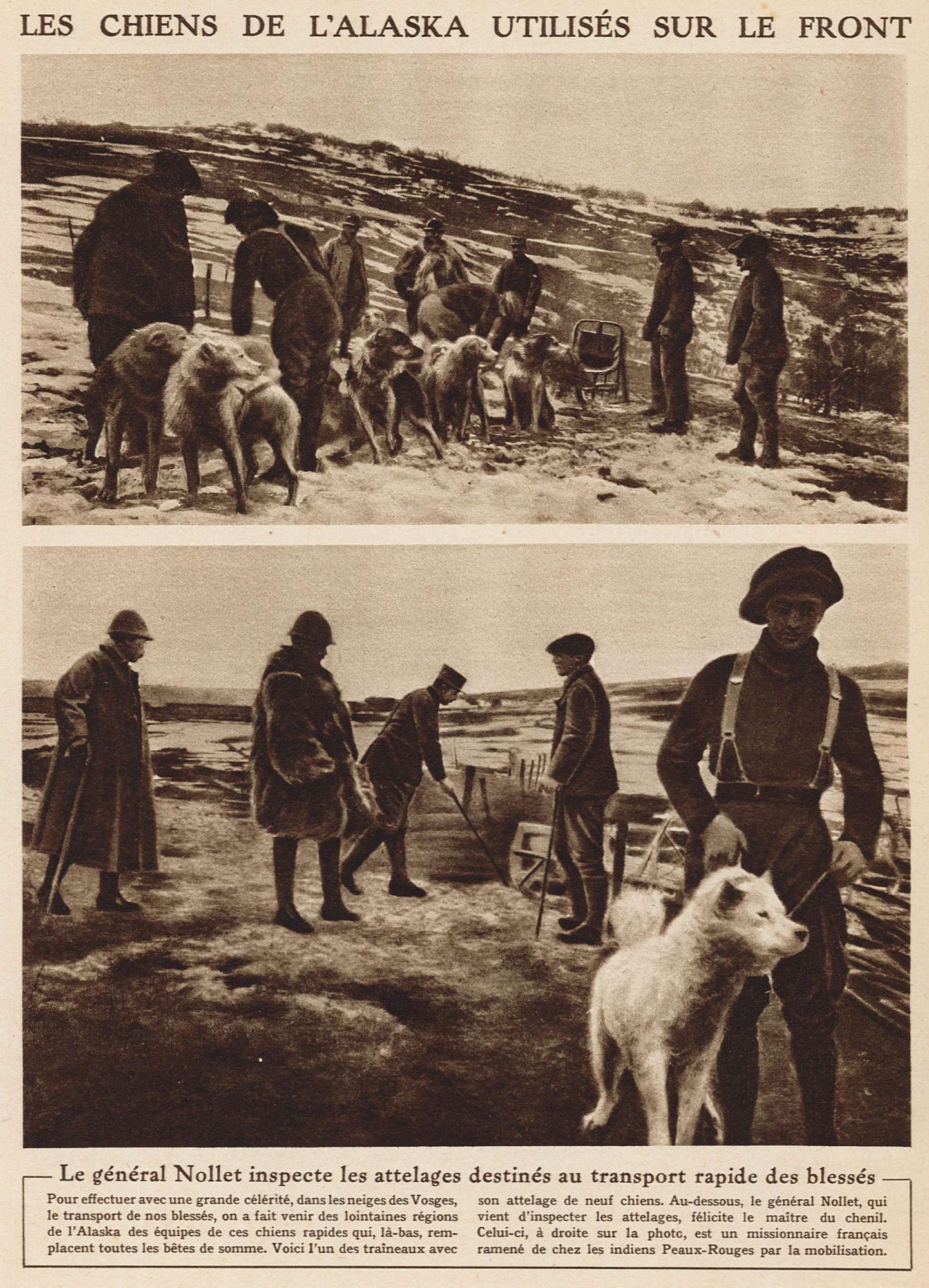 Transport des blessés