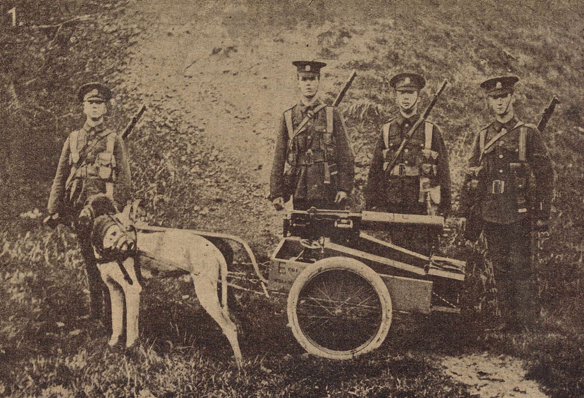 Sur le front anglais